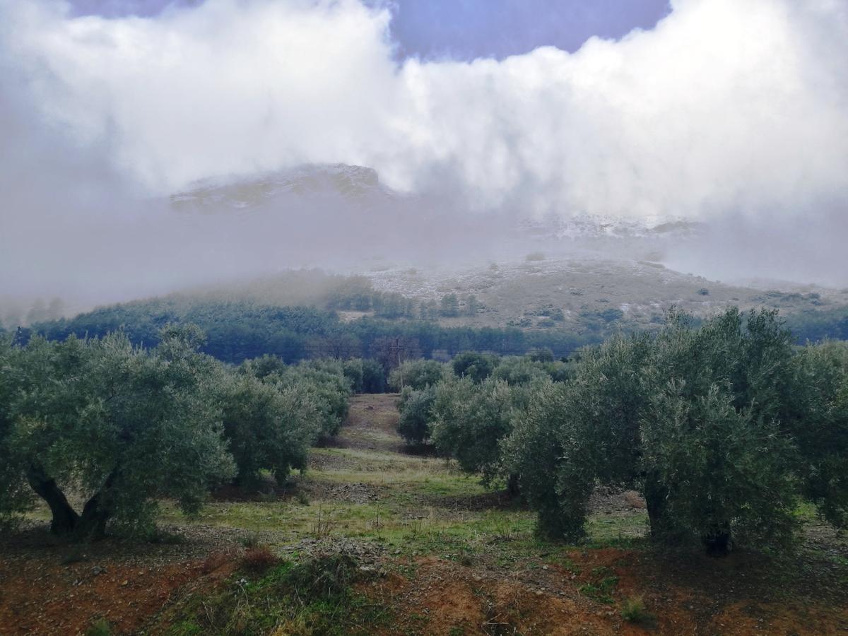 Alojamiento Rural La Caseria De Piedra Restaurante Jaen Exterior photo